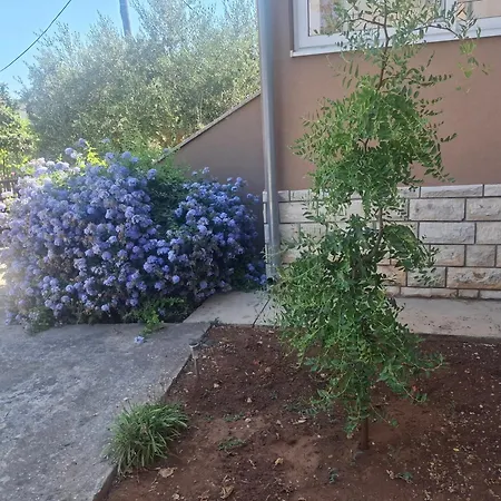 Marko I Teo Apartman *